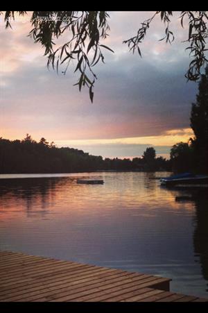 Cottage Rental Ontario Southern Georgian Bay Hanover Water