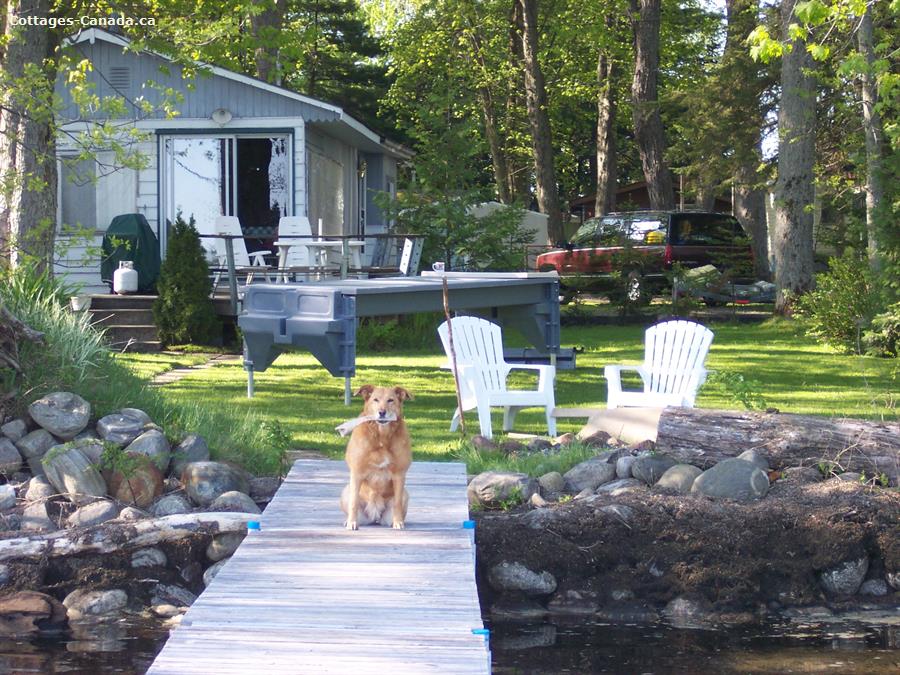 paddle boat rentals gravenhurst cottage rental ontario muskoka port severn sunset view paddle boat rentals gravenhurst cottage rental ontario muskoka port severn sunset view